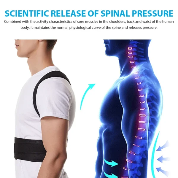 Back Brace Posture Corrector Belt for Women & Men Back Lumbar Support, Adjustable Shoulder Posture Support for Improve Scoliosis - Image 4
